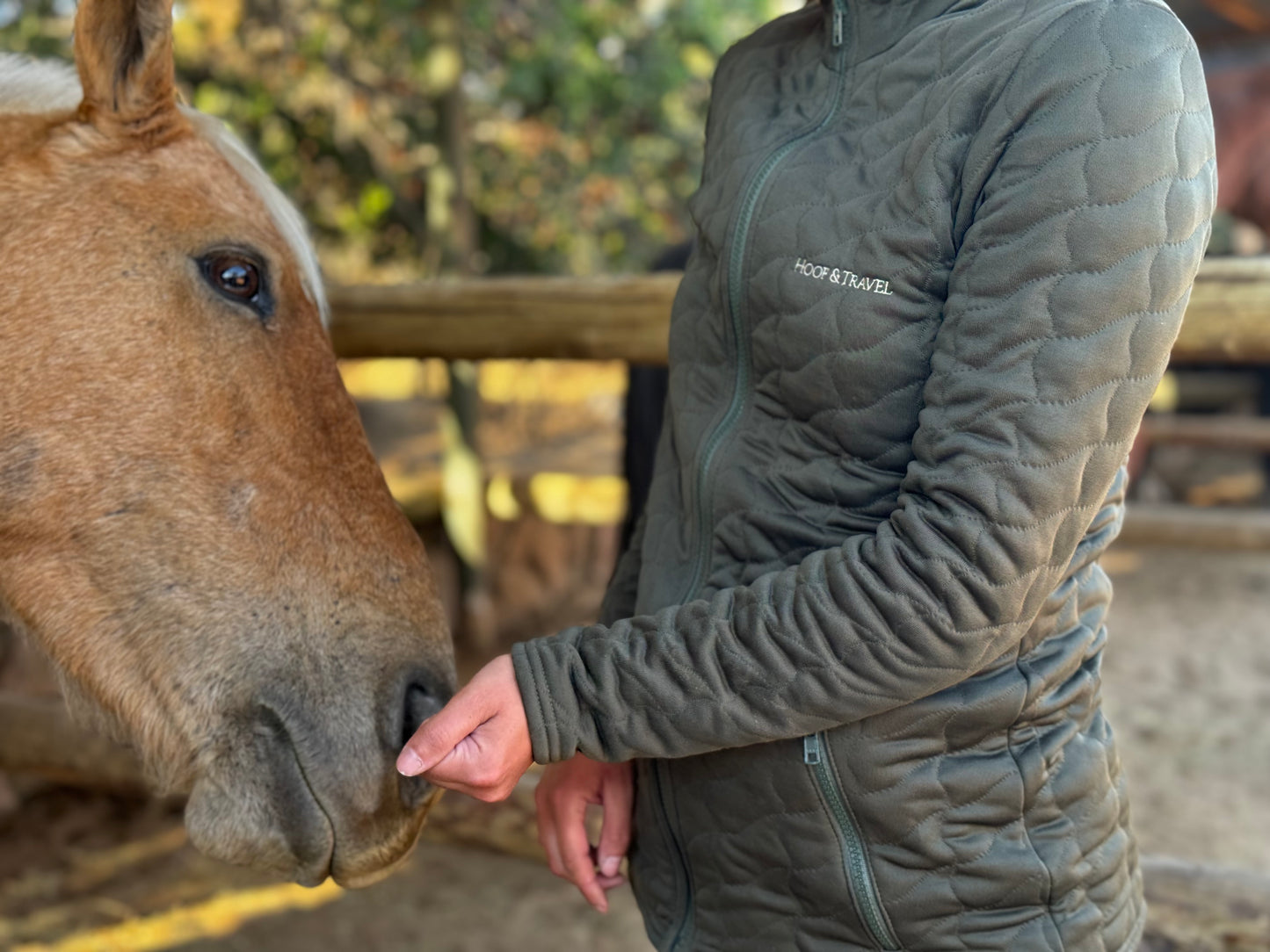 leichte Reitjacke in Forest Green | Hoof & Travel