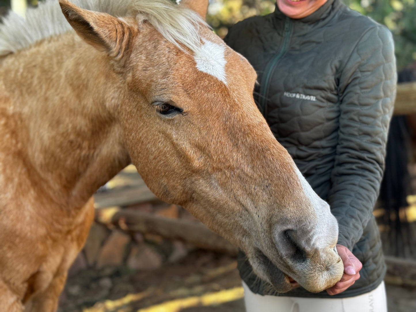 leichte Reitjacke in Forest Green | Hoof & Travel