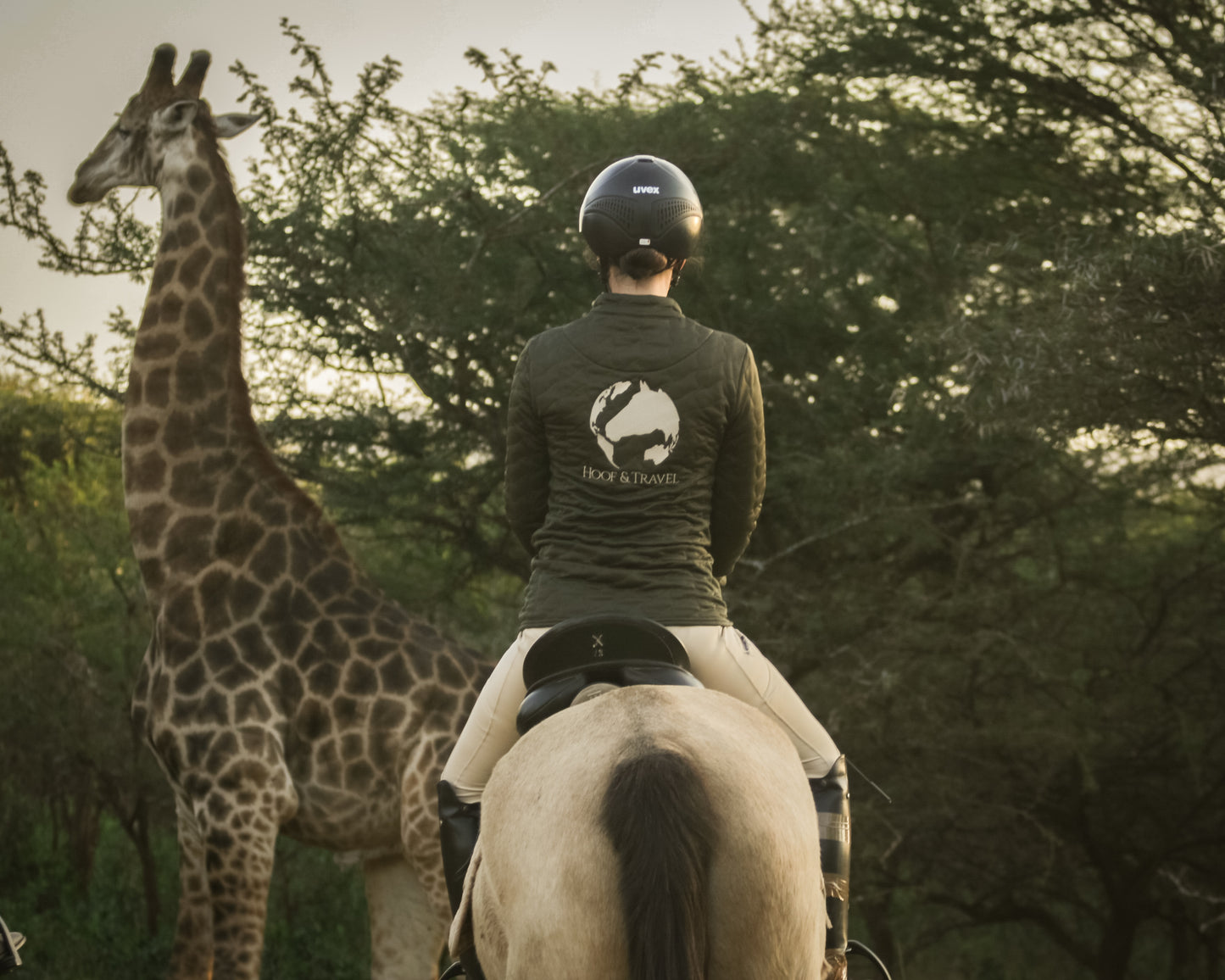 leichte Reitjacke in Forest Green | Hoof & Travel